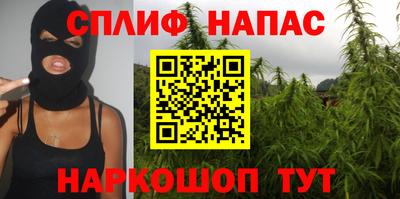 дмт Владимир
