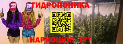 дмт Владимир