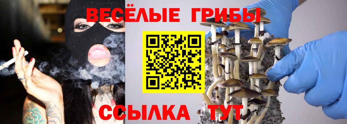 Галлюциногенные грибы MAGIC MUSHROOMS Кандалакша