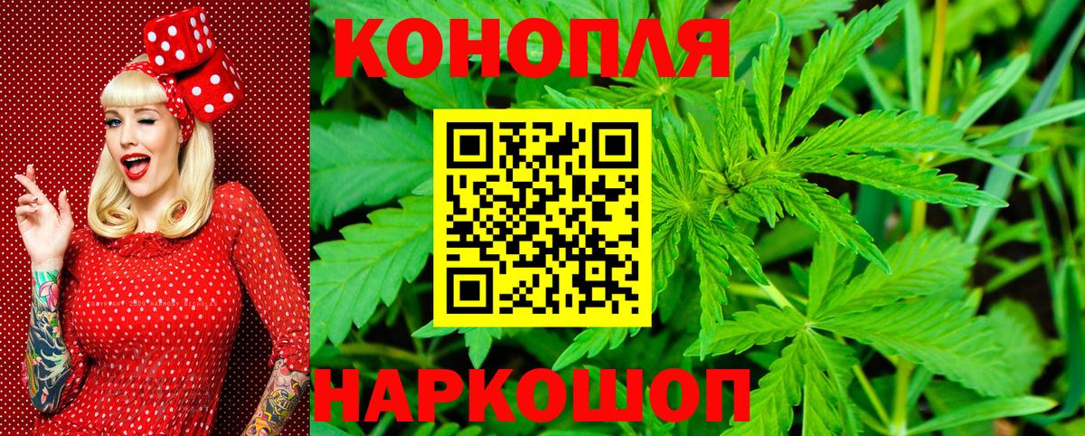Канабис White Widow  Вход с VPN  Бошки Шишки гибрид  Кандалакша  Бошки Шишки тримм 
